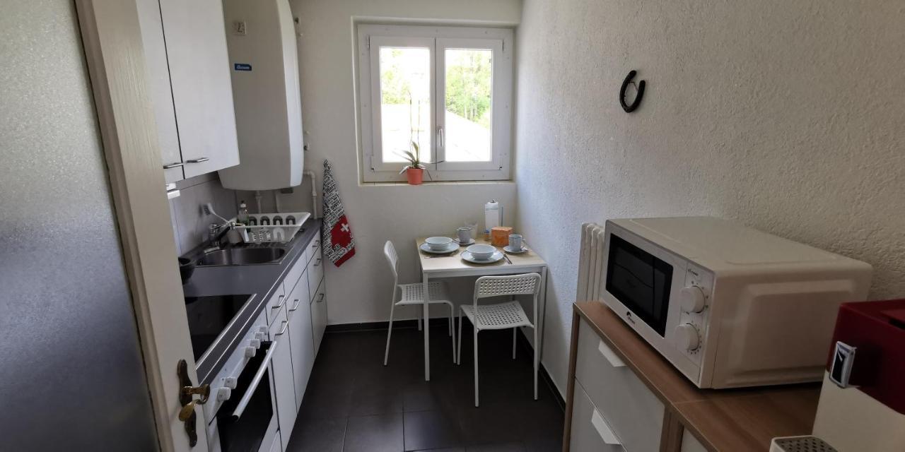 Helvetia 2 Zimmer Apartment Mit Parkplatz Zürih Dış mekan fotoğraf
